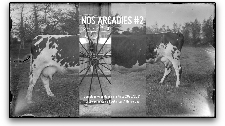 nos-arcadies #2